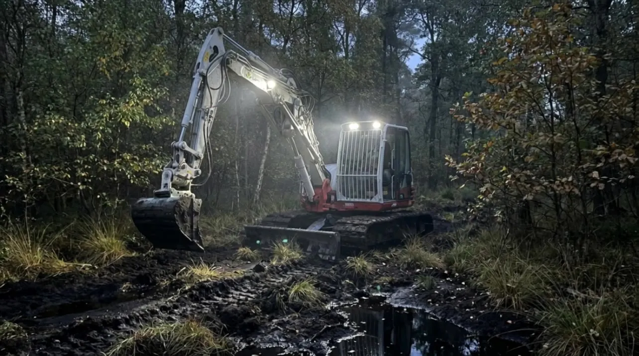 Bagger bei der Renaturierung im Moor